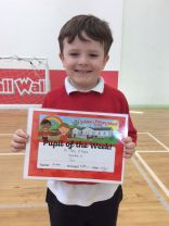 🥳 Pupil of the Week 🥳