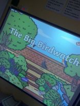 Big Garden Bird Watch! 🕊🦅