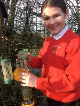 P5/6 Big Schools’ Birdwatch 