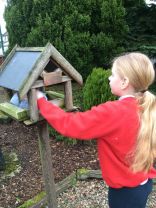 P7 Birdfeeders 
