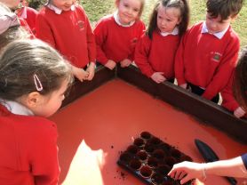 New Beginnings in P1&2 🌱