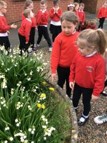 Searching for Spring in P1&2 🌸🌼🐑🐰