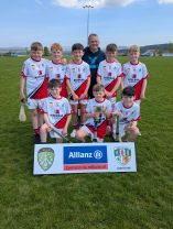 Hurling 