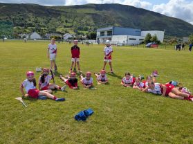 Cumann na mBunscol hurling and camogie skills day
