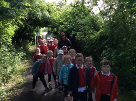P1&2 Trip to Rose Park Farm 🐮🐰🦚