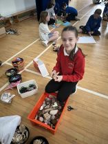 P5/6 Shared Education Art Project 