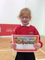🌟 Pupil of the Week 🌟