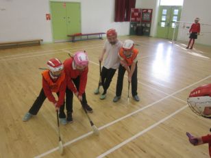 Hurling/Camogie Club